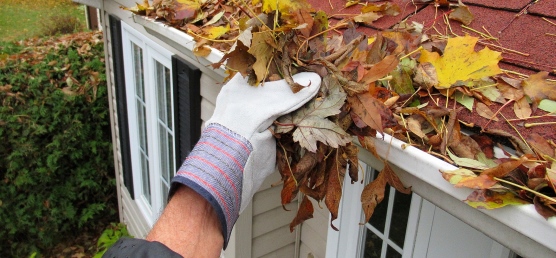 5 FALL MAINTENANCE ESSENTIALS
